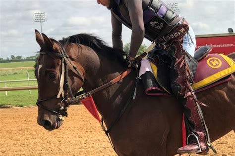 Lonestarwagers.com All Sports Wagering, Horse Racing and Full .